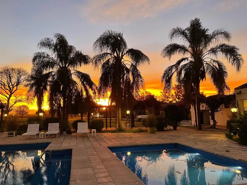 A pool and palm trees at one of our current accommodation bases.