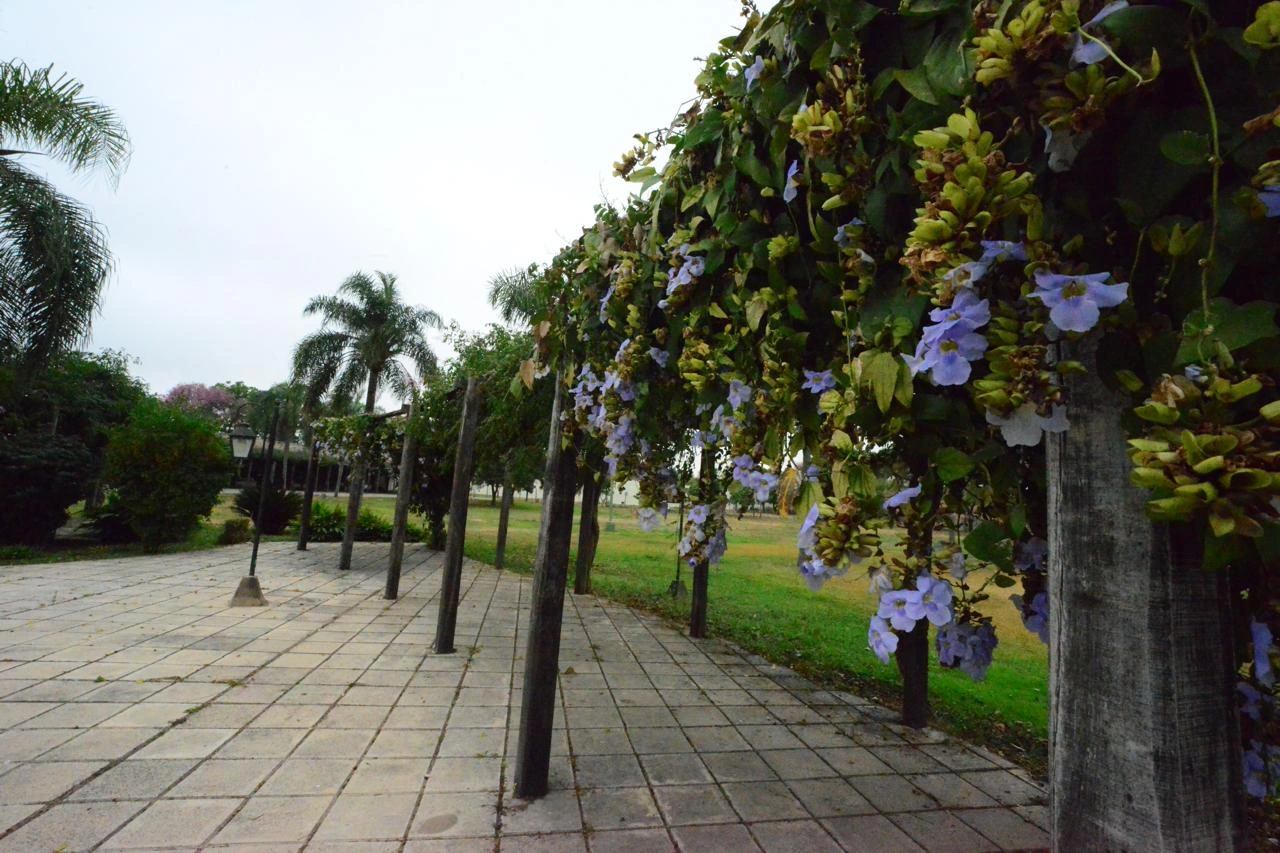Las Lajitas: Outdoor gallery