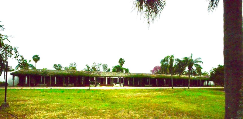 An exterior view of the accommodation and its garden.