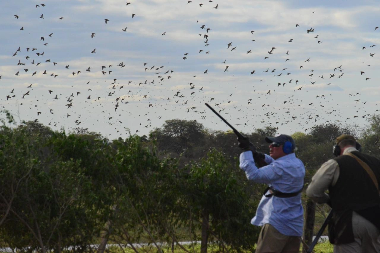 Dove hunting in the Salta countryside