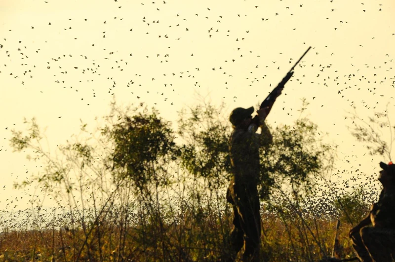 A hunter beneath the flight of the birds.