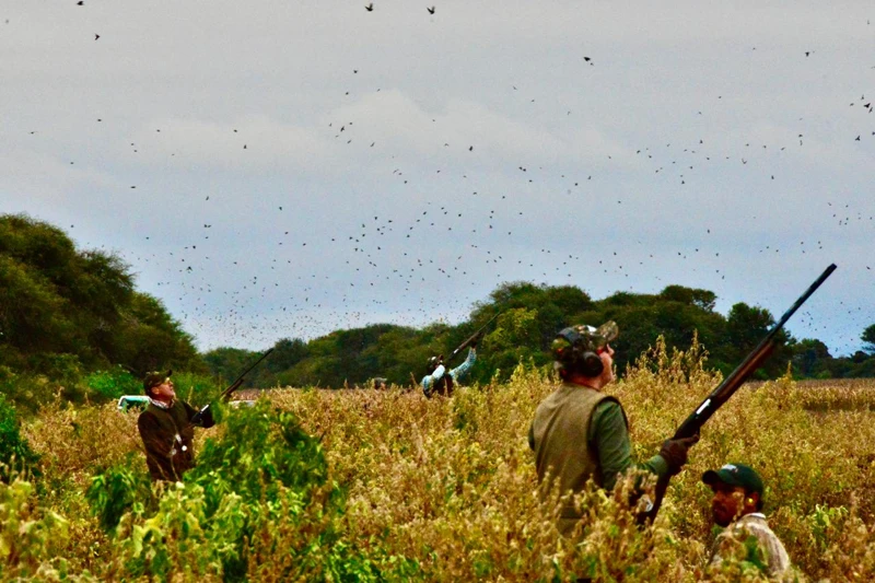 Participants await the passing birds.