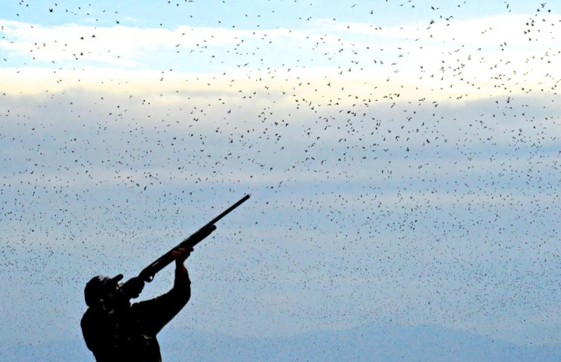 A participant beneath a flock of doves.