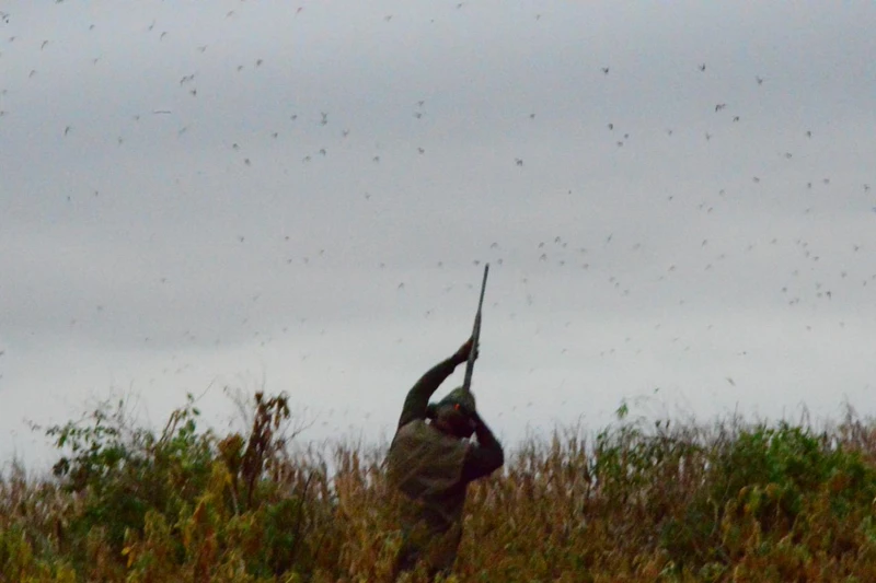 A participant among the vegetation and birds.