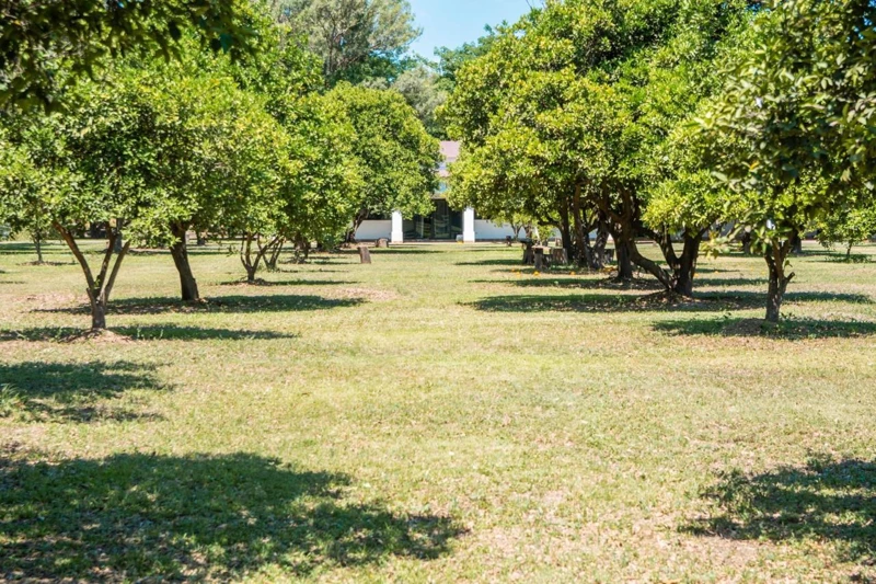 Trees and gardens around the accommodation.